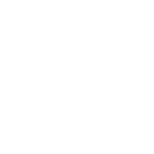 ZODU-PROPUESTAS-ingles-03-300x300 (1)