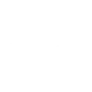 ZODU-group-corp-03-300x300